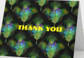 Feathers Thank You card